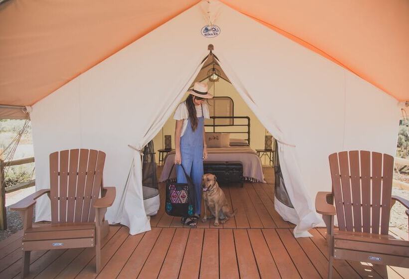 Отель Basecamp 37°