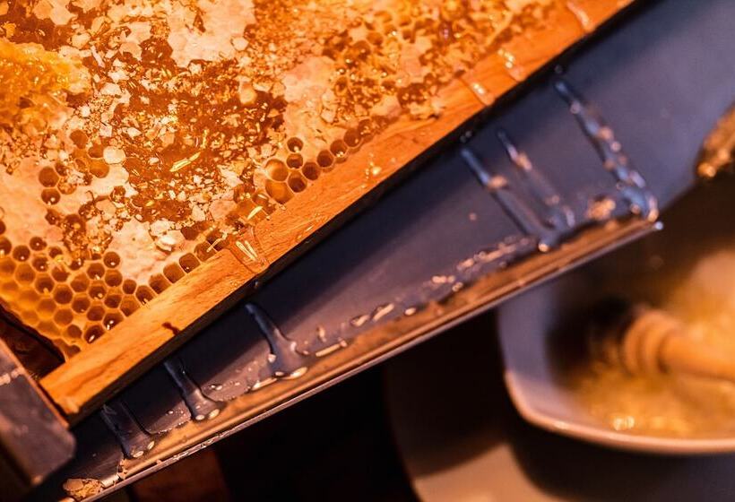 בית מלון כפרי Bei Schumann