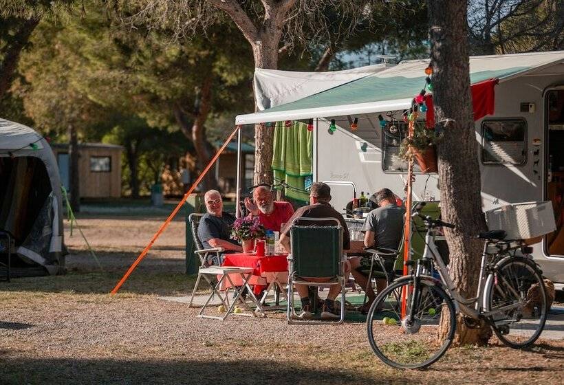 Отель Camping El Garrofer