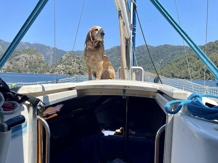 Отель Marimare Beach & Bungalow