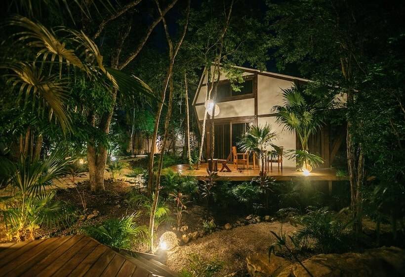 هتل Nahouse Jungle Lodges