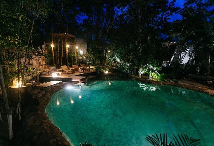 هتل Nahouse Jungle Lodges