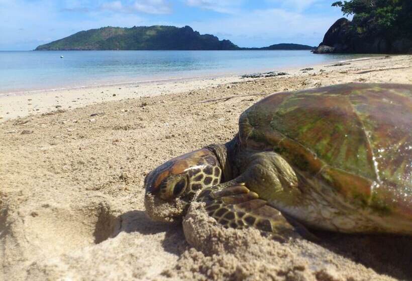 호텔 Naqalia Lodge