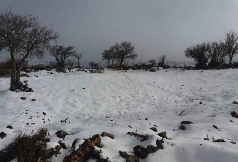 בית מלון כפרי Psiloritis Retreat