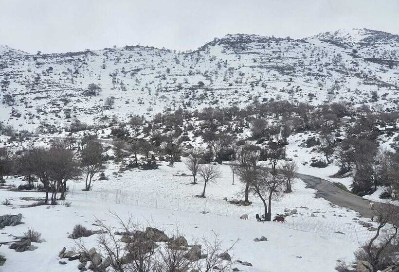 בית מלון כפרי Psiloritis Retreat