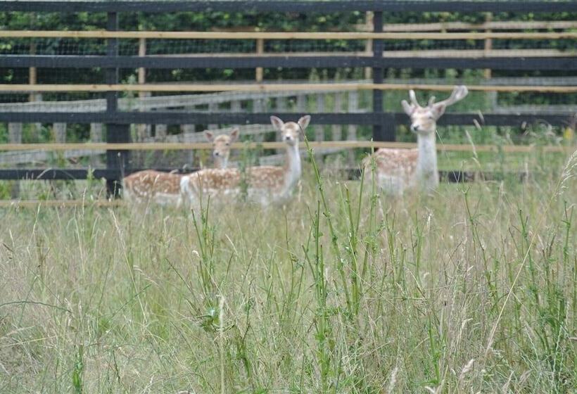 田舎風ホテル Suffolk Retreats For Up To 24 Guests With Hot Tub