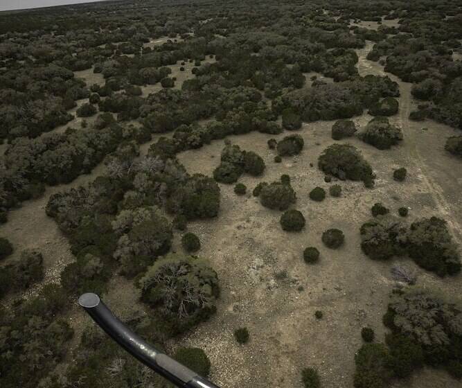 Сельский отель Y.o. Ranch Headquarters