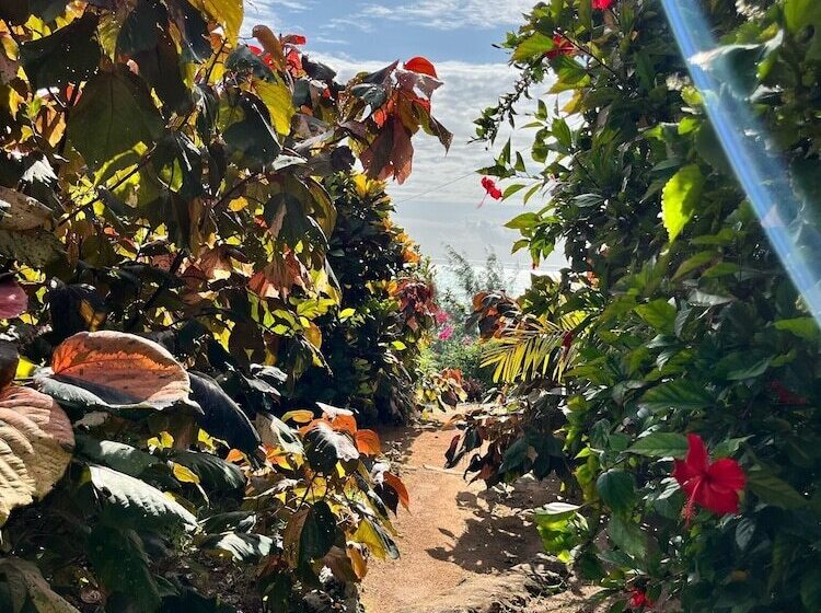 ホテル Sazani Beach Lodge