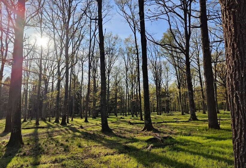 בית מלון כפרי Sublimes Hébergements En Coeur De Forêt