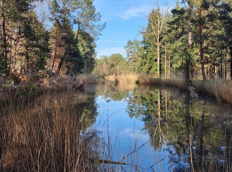 בית מלון כפרי Sublimes Hébergements En Coeur De Forêt