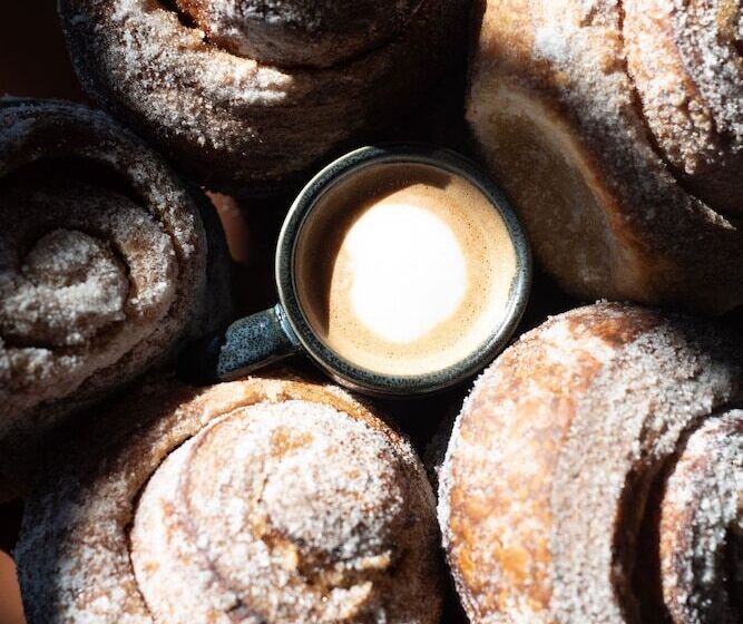 فندق The Radical