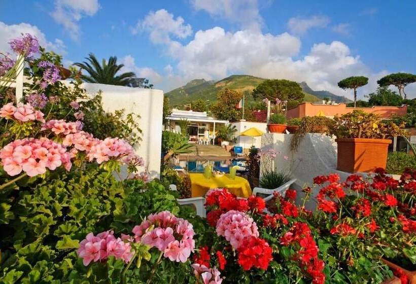 בית מלון כפרי Villa Mena