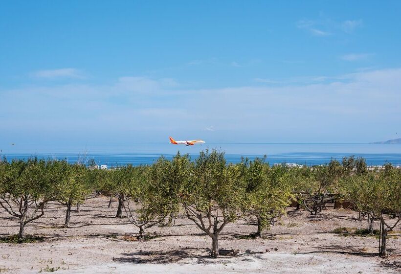 בית מלון כפרי Zaitun Luxury Suites