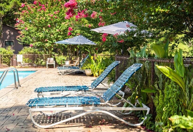 Lake View Queen Guest Room With Two Queens, Sleeper Sofa And Deck Overlooking Lake Ouachita, Hotel R