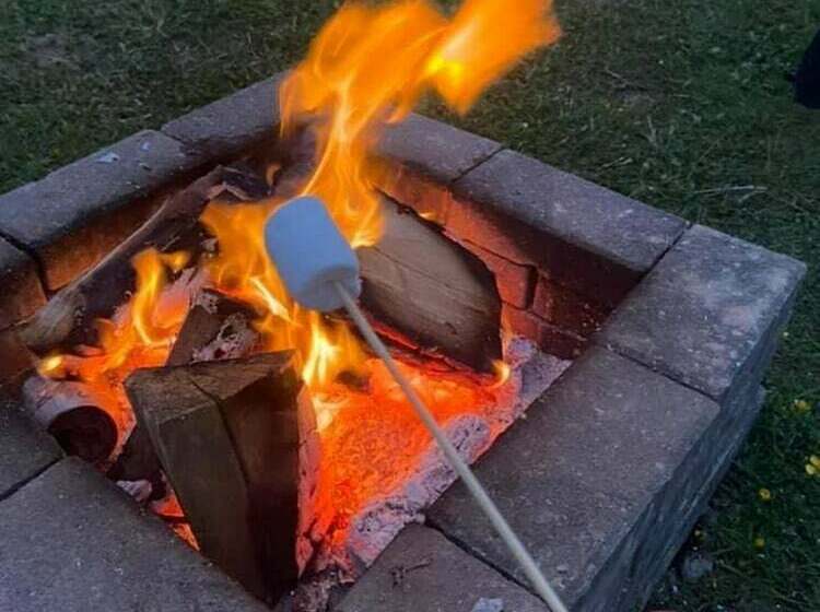 Luxury Pod Cabin In Beautiful Surroundings Wrexham