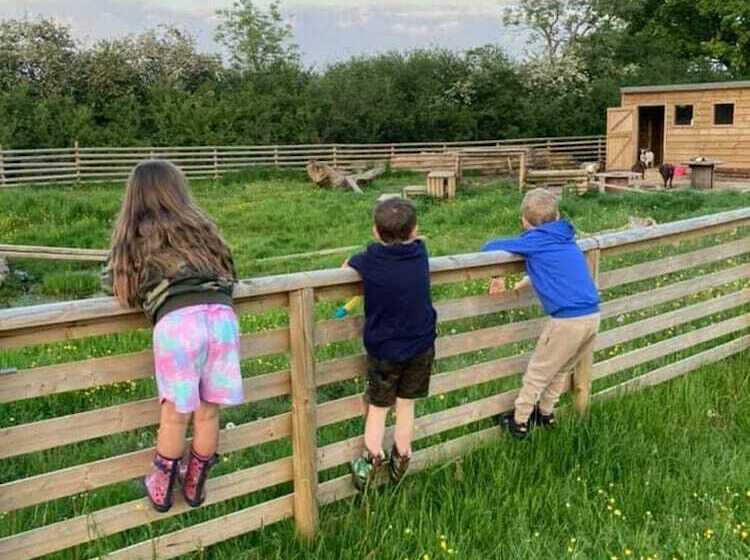 Luxury Pod Cabin In Beautiful Surroundings Wrexham