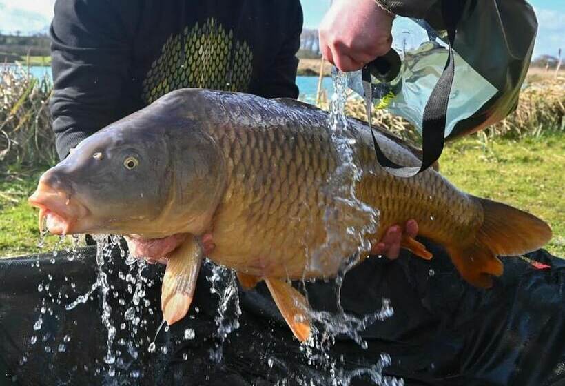 Luxury Pod Cabin In Beautiful Surroundings Wrexham