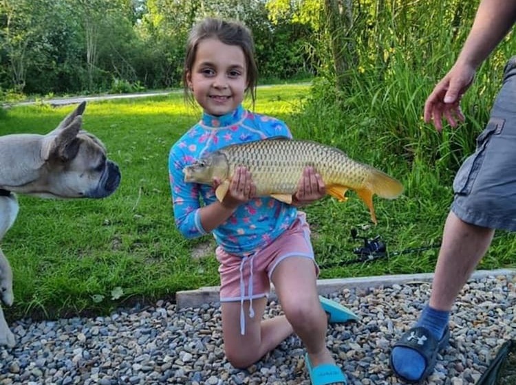 Luxury Pod Cabin In Beautiful Surroundings Wrexham