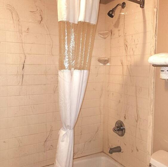 汽车旅馆  Colonial Inn Monahans