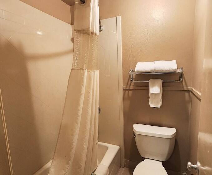 汽车旅馆  Colonial Inn Monahans