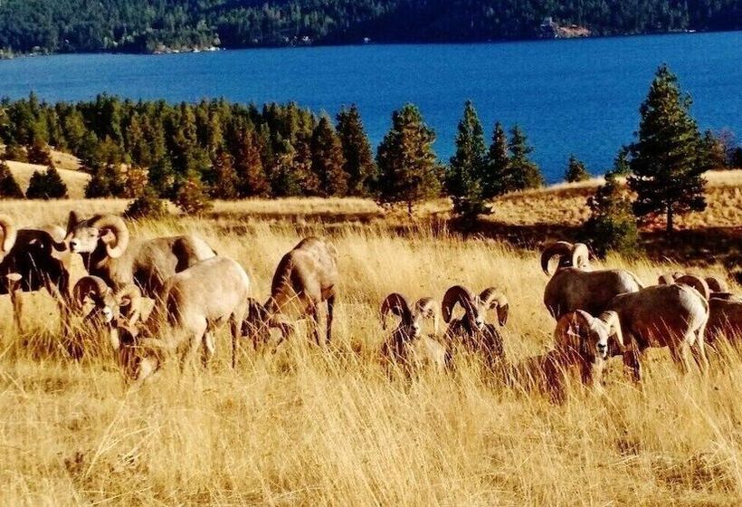 מוטל Going To The Sun Inn & Suites