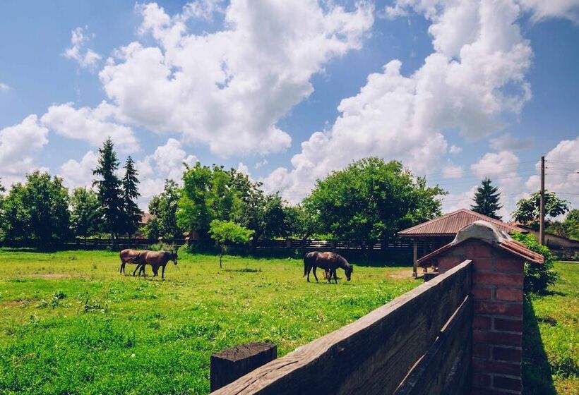 פנסיון Ongal Guest Houses
