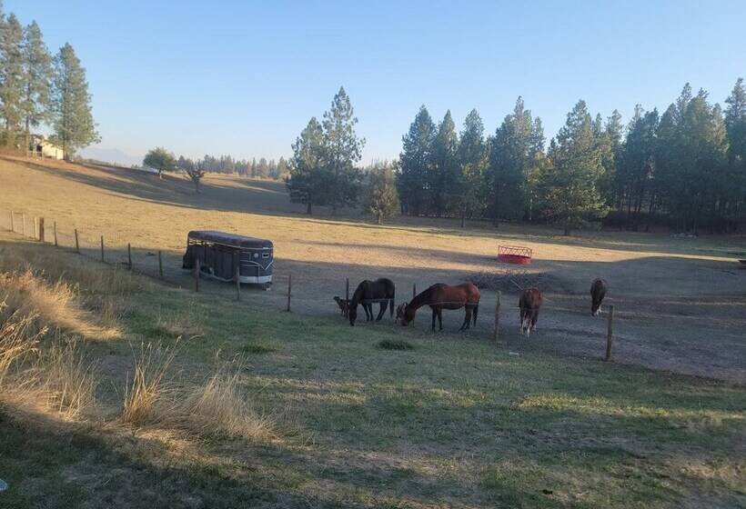 פנסיון Whitefish Stage Hideaway