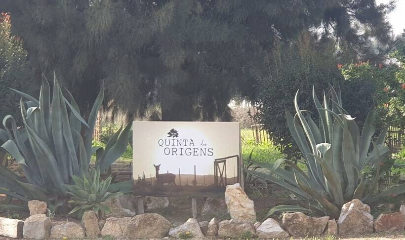 Quinta Das Origens