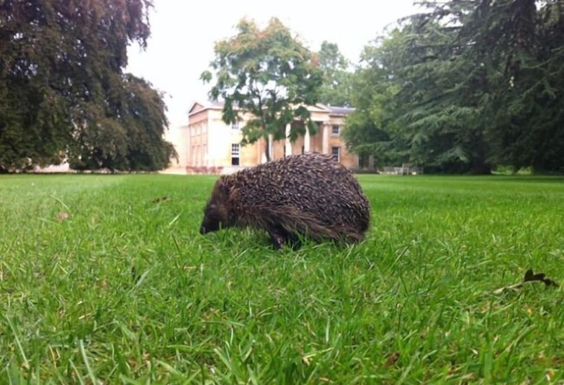 レジデンス Downing College
