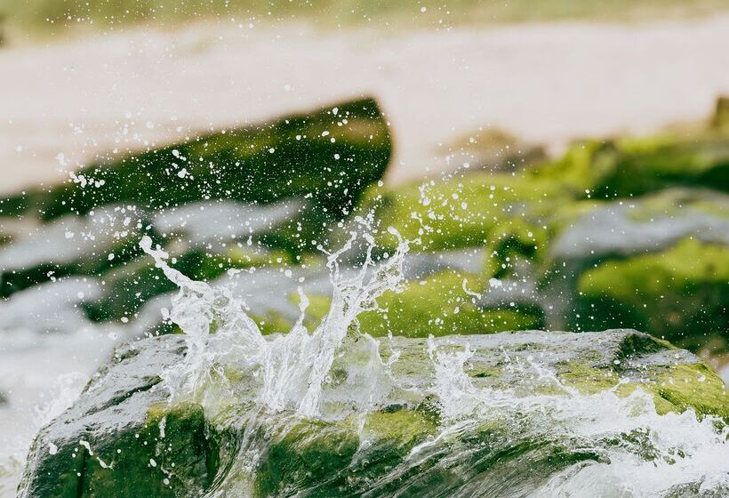 منتجع Dornoch Station