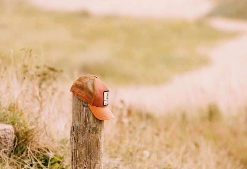 منتجع Dornoch Station