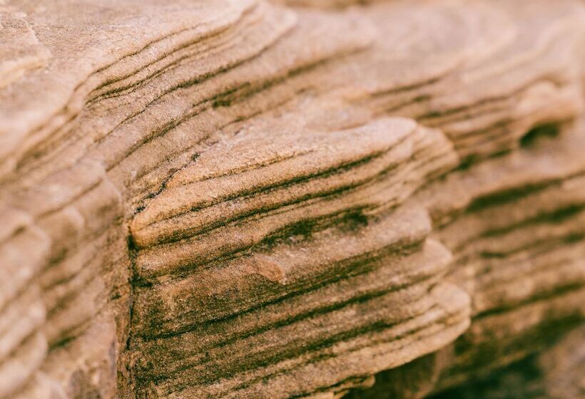 منتجع Dornoch Station