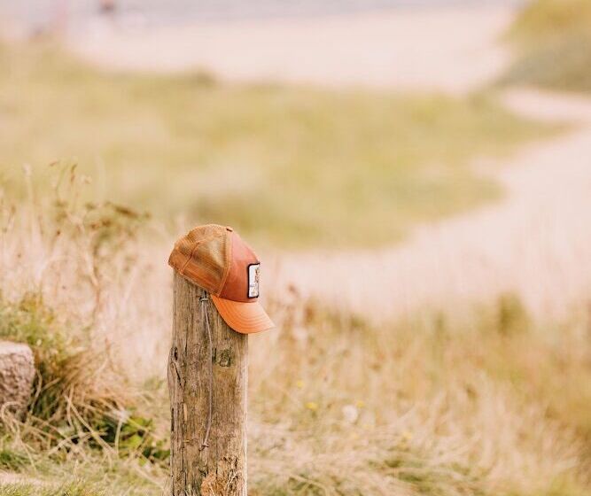 منتجع Dornoch Station