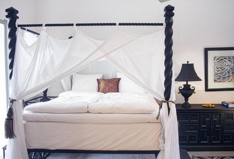 Rooftop Boutique Hotel Adults Only