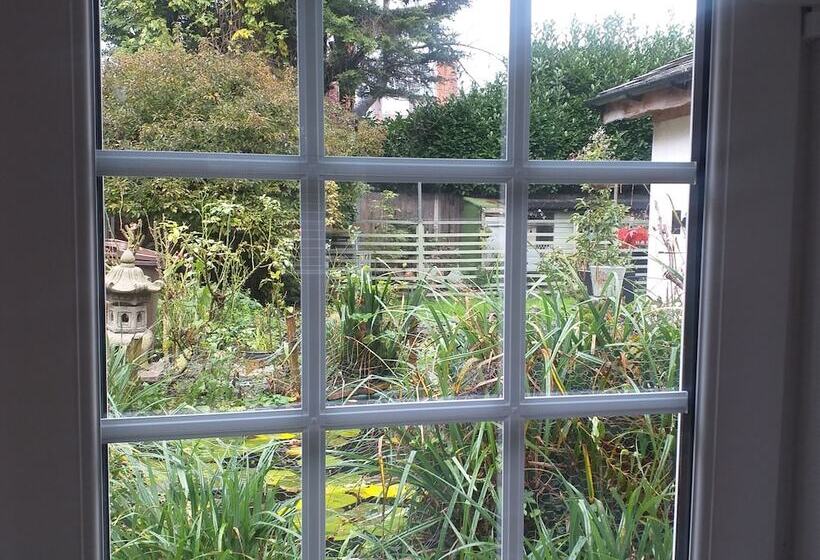 The Little House In Hull