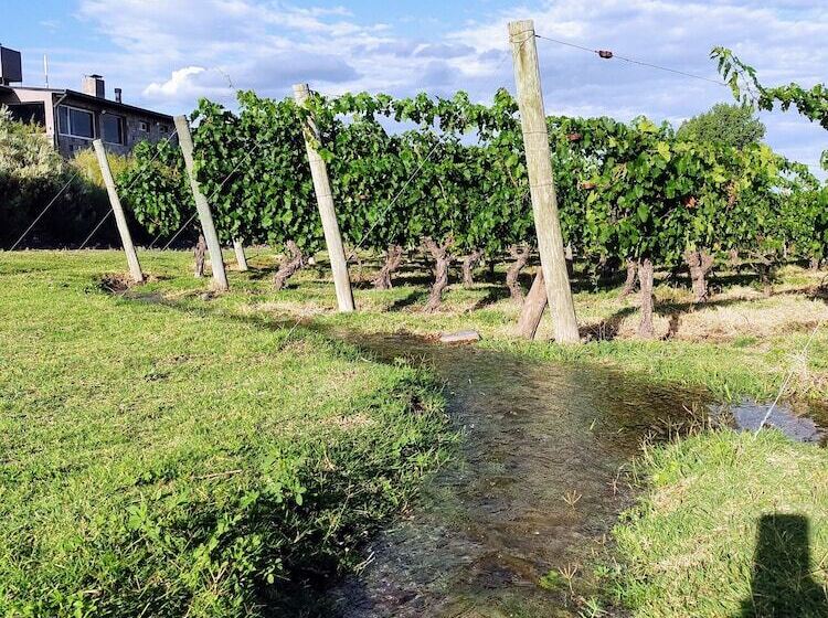 Cabañas Viento Andino