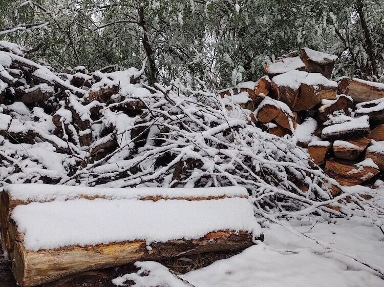 Cabañas Viento Andino