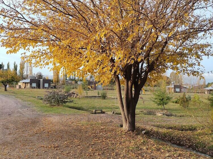 Cabañas Viento Andino