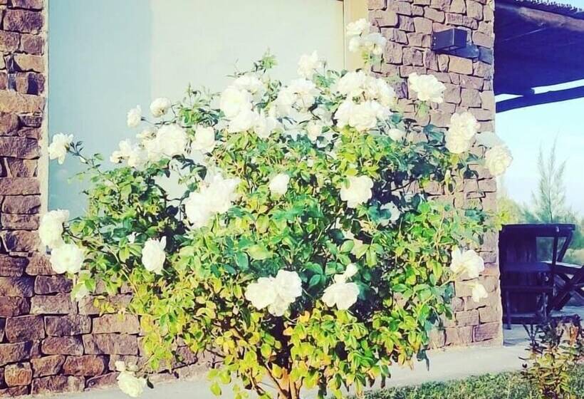 Cabañas Viento Andino