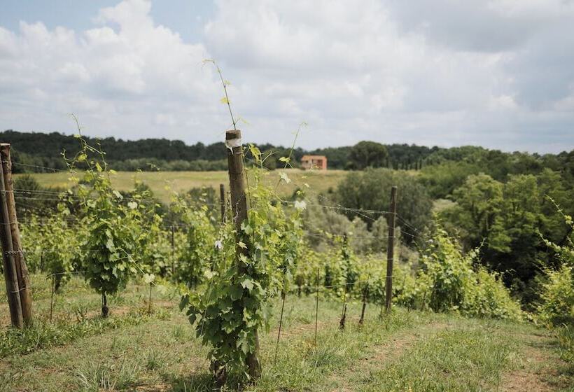 Villa Delia Hotel And Cooking School