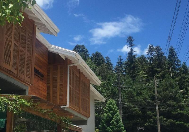 ユースホステル Boutique Britanico