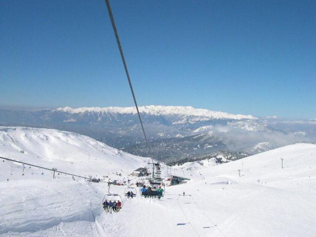 Alpen House Hotel & Suites