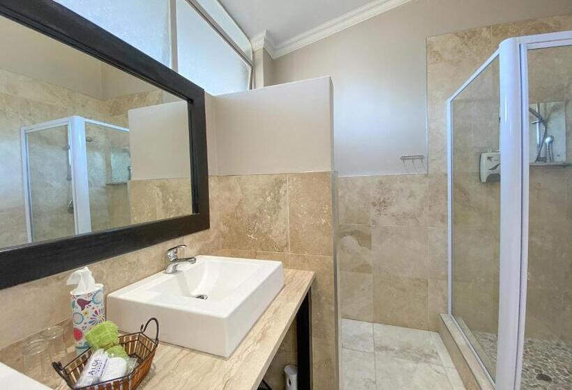 مبيت وإفطار Aloe Manor