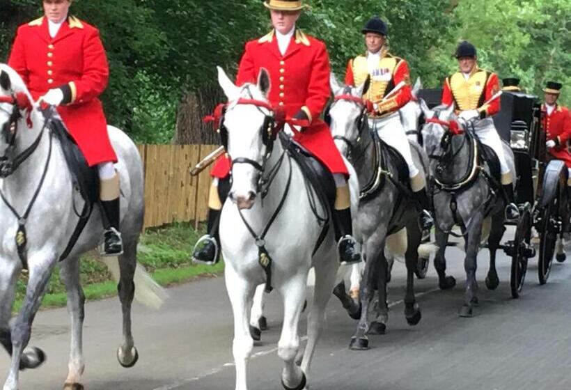 مبيت وإفطار Sleepneat