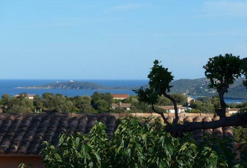 Domaine San Sebastiano