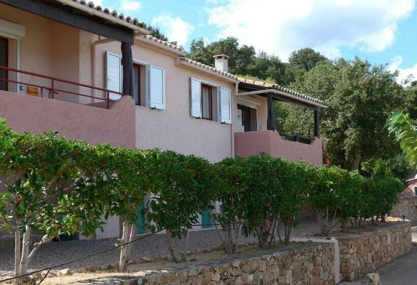 Domaine San Sebastiano