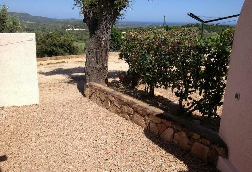 Domaine San Sebastiano