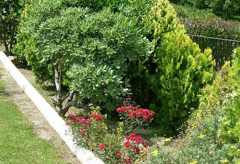 Domaine San Sebastiano