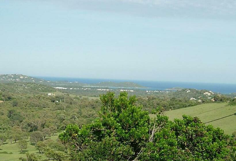 Domaine San Sebastiano