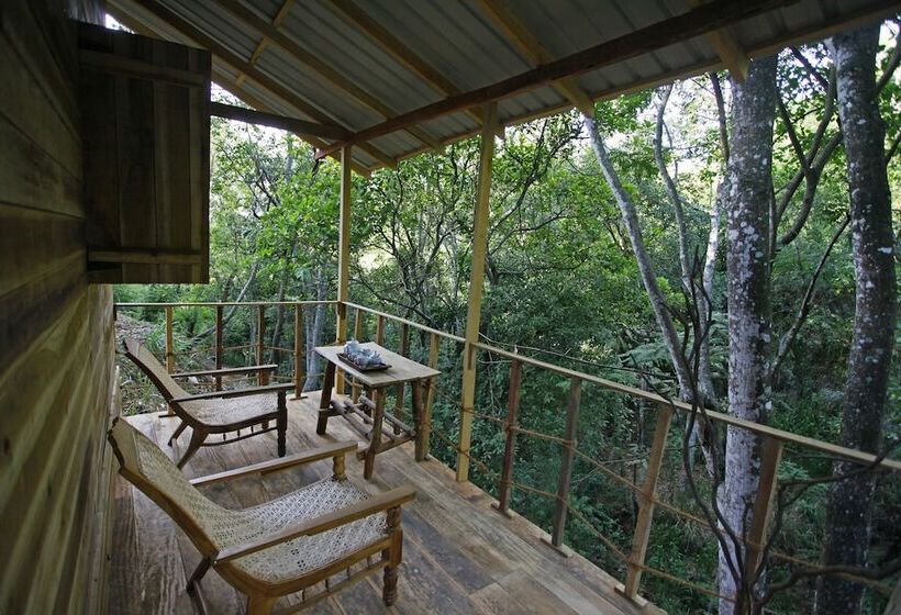 Ella Eco Lodge